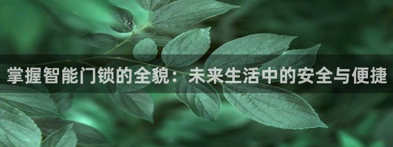 金年会体育在线登录：掌握智能门锁的全貌：未来生活中的安全与便