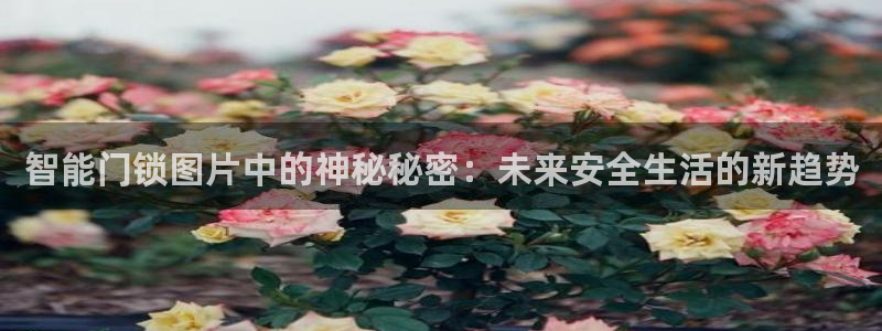 金吉年会：智能门锁图片中的神秘秘密：未来安全生活的新趋势