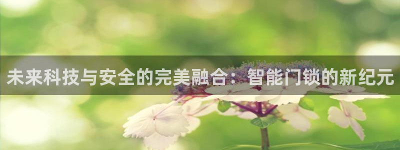 金年会电子游戏：未来科技与安全的完美融合：智能门锁的新纪元