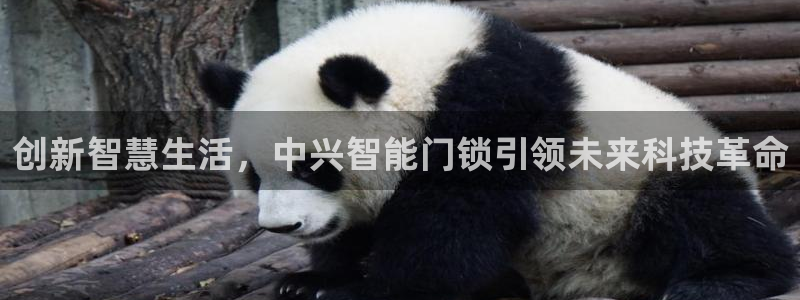 金年会体育app下载：创新智慧生活，中兴智能门锁引领未来科技