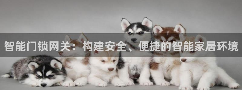 今年会送彩金28：智能门锁网关：构建安全、便捷的智能家居环境