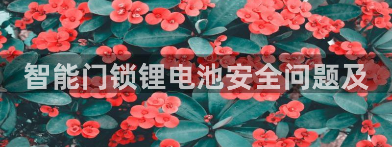 金年会手机版：智能门锁锂电池安全问题及