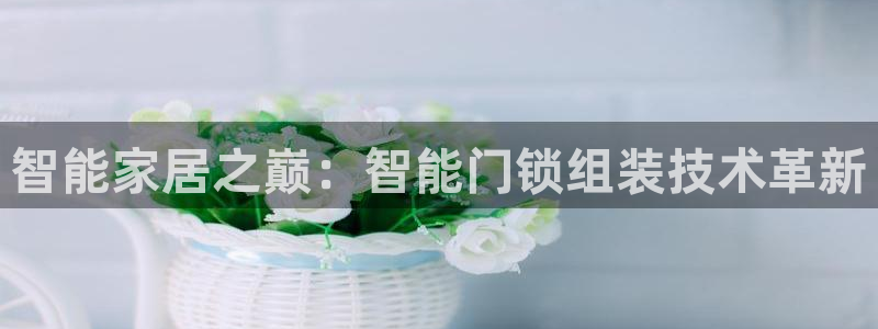 金年会官方体育登录入口：智能家居之巅：智能门锁组装技术革新