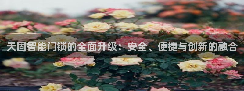 金年会体育官方下载：天固智能门锁的全面升级：安全、便捷与创新