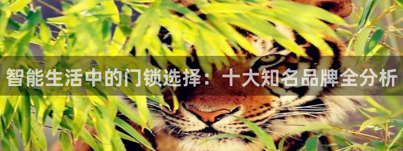 金年会APP安装下载：智能生活中的门锁选择：十大知名品牌全分
