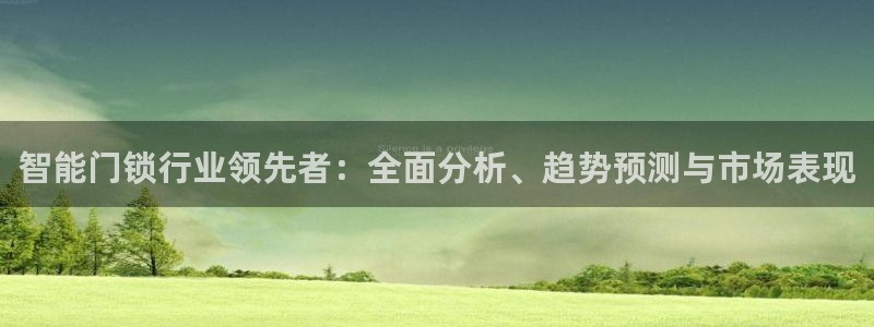 金升年会：智能门锁行业领先者：全面分析、趋势预测与市场表现