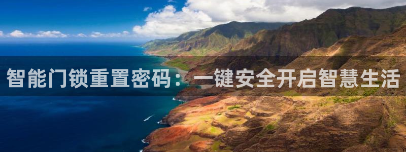 金年会网官网新版：智能门锁重置密码：一键安全开启智慧生活