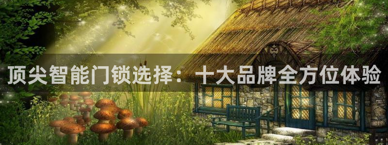 金年会体育金年会官网：顶尖智能门锁选择：十大品牌全方位体验