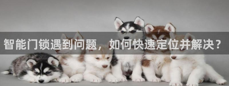 金年会官网入口：智能门锁遇到问题，如何快速定位并解决？