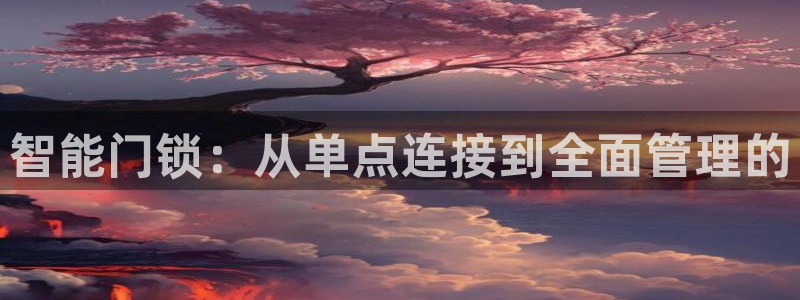 金年会官方网站下载：智能门锁：从单点连接到全面管理的