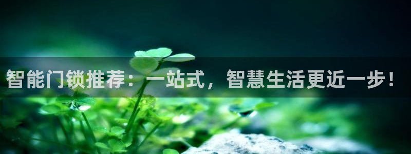 金年会APP下载：智能门锁推荐：一站式，智慧生活更近一步！