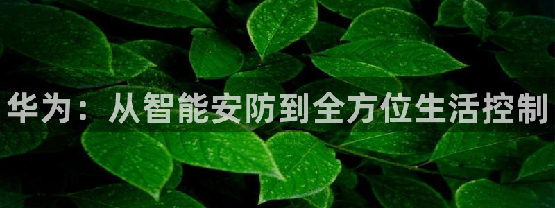 jinnianhui 金年会：华为：从智能安防到全方位生活控