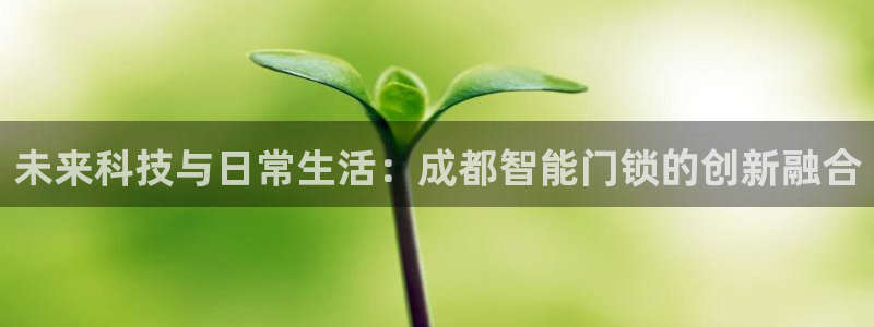 金年会下载官方：未来科技与日常生活：成都智能门锁的创新融合
