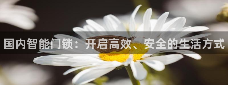 金年会体育苹果下载：国内智能门锁：开启高效、安全的生活方式