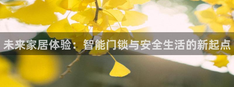 金年会电子游戏app：未来家居体验：智能门锁与安全生活的新起