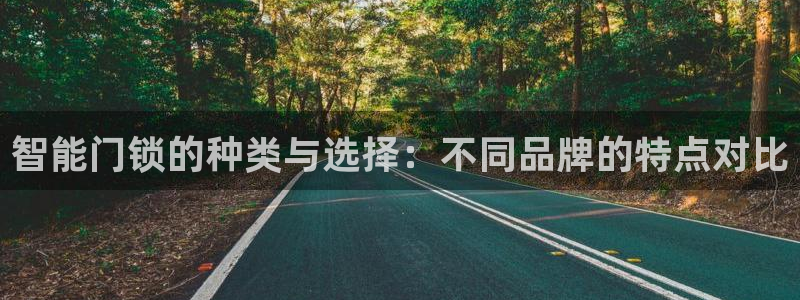 金年会代理：智能门锁的种类与选择：不同品牌的特点对比