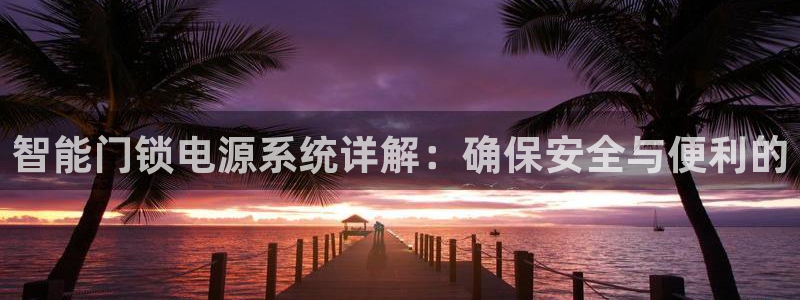 金年会金字招牌：智能门锁电源系统详解：确保安全与便利的