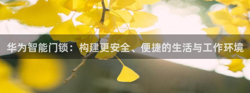 金年会是真的吗：华为智能门锁：构建更安全、便捷的生活与工作环