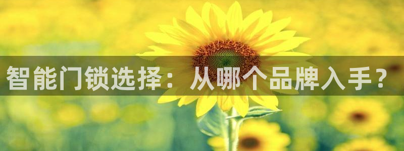 金年会下载：智能门锁选择：从哪个品牌入手？