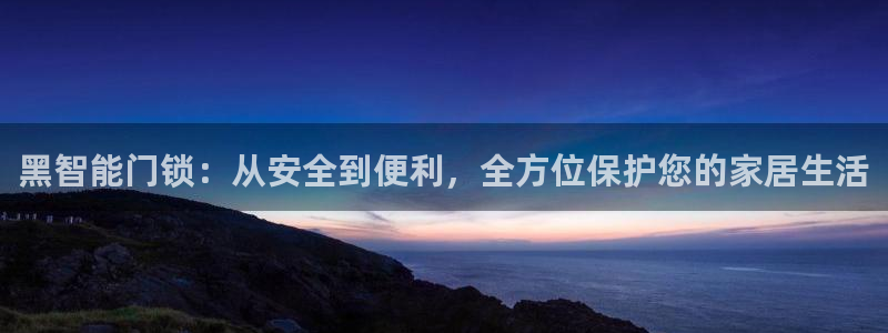 金年会安装：黑智能门锁：从安全到便利，全方位保护您的家居生活