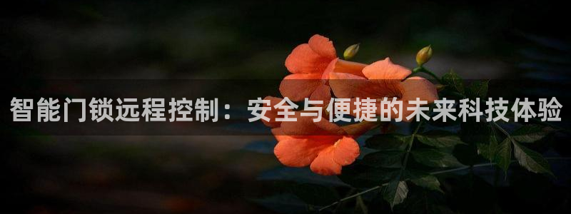 澳门娱乐金年会：智能门锁远程控制：安全与便捷的未来科技体验