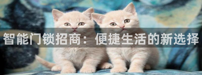 金年会退款：智能门锁招商：便捷生活的新选择