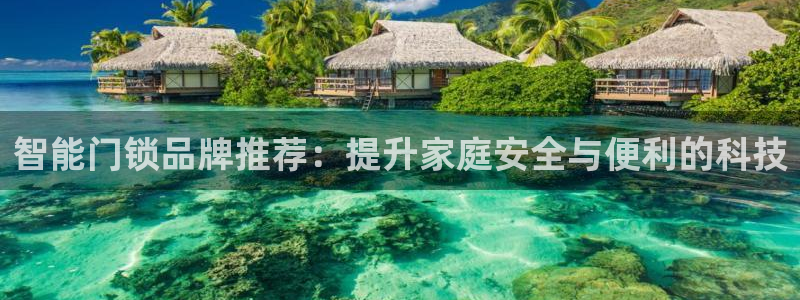 金年会彩金：智能门锁品牌推荐：提升家庭安全与便利的科技