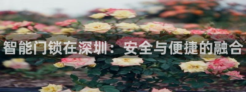 金吉年会：智能门锁在深圳：安全与便捷的融合