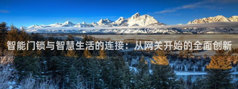 金年会体育平台官网：智能门锁与智慧生活的连接：从网关开始的全
