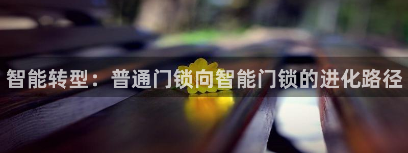 金年会官方入口：智能转型：普通门锁向智能门锁的进化路径