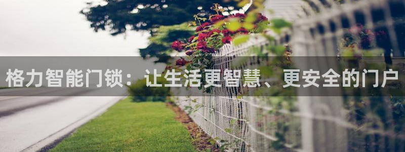 金年会体育在线入口：格力智能门锁：让生活更智慧、更安全的门户