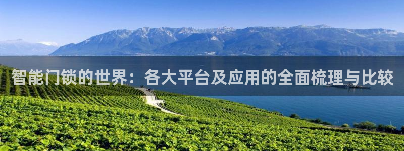 金年会品牌：智能门锁的世界：各大平台及应用的全面梳理与比较
