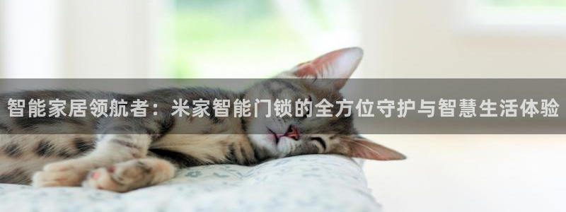 金年会手机网页登录：智能家居领航者：米家智能门锁的全方位守护