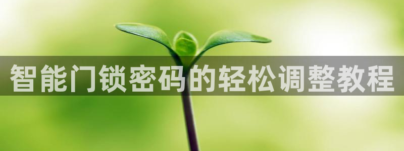 金帆年会2017：智能门锁密码的轻松调整教程