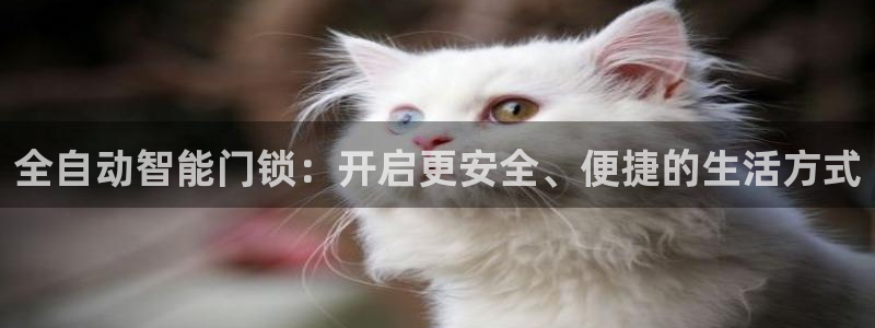金年会登陆：全自动智能门锁：开启更安全、便捷的生活方式