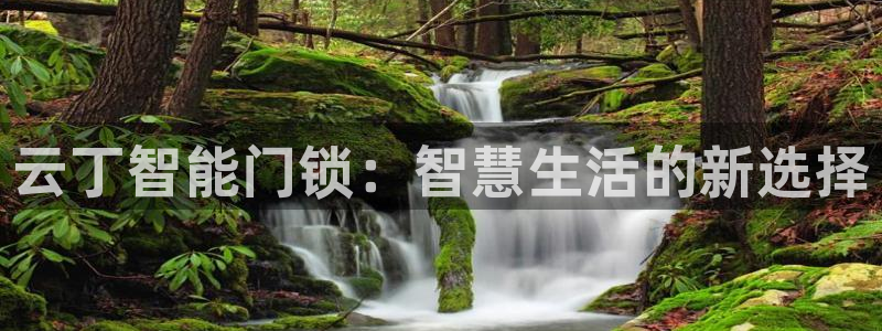 为什么搜索不了金年会：云丁智能门锁：智慧生活的新选择