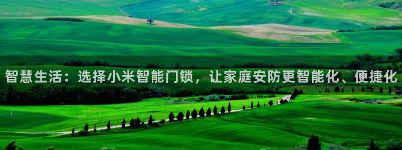 金年会介绍：智慧生活：选择小米智能门锁，让家庭安防更智能化、